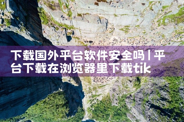 下载国外平台软件安全吗
