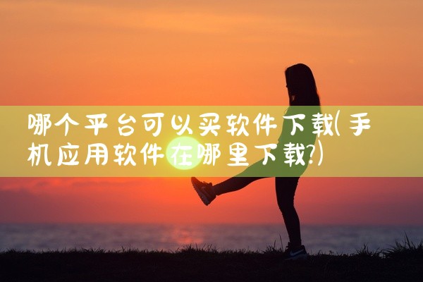 哪个平台可以买软件下载
