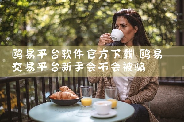 鸥易平台软件官方下载
