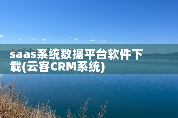 saas系统数据平台软件下载
