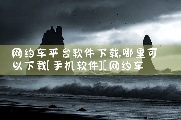 网约车平台软件下载