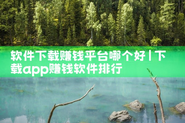 软件下载赚钱平台哪个好