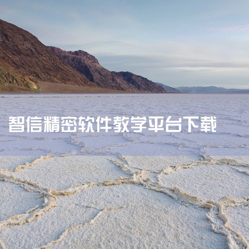 智信设备管理软件，可以先免费下载试用，满意再购买，也可以根据需要定制，直接百度智信，第一个网页就是智信的官网了。http|