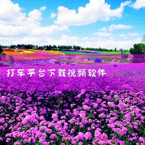 此外，微信支付也广泛应用于日常生活的各种场景，如购物、打车、缴费等，极大地便利了生活。二、支付宝：作为一款强大的生活服务平台，涵盖支付、理财、生活服务等多项功能。除了便捷的移动支付功能外，它还提供余额|