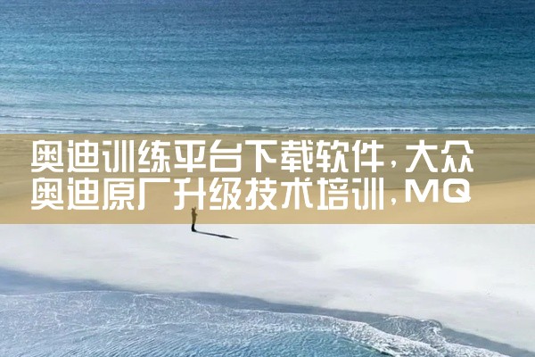 奥迪训练平台下载软件