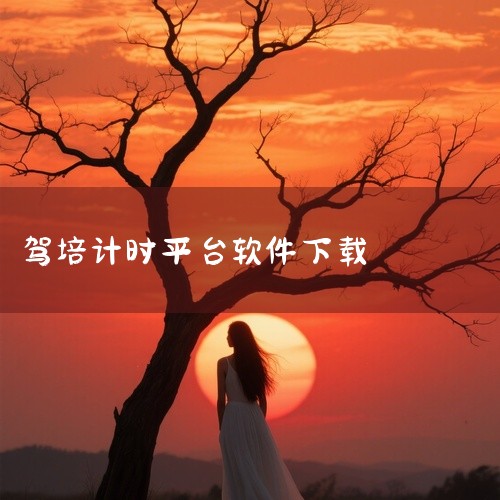 考驾照刷学时的软件有很多，常见的有驾校一点通、驾考宝典、交管12123等。驾校一点通：这是一款被广大学员广泛使用的软件，不仅包含了科目一和科目四的理论知识学习和测试，还提供了模拟考试等功能，方便学员进|